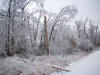 Mr. Marts Broken Power Pole